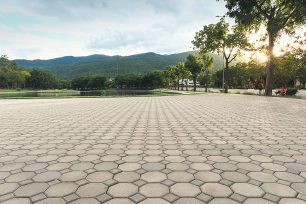 Best Professional Driveway Pavers  in Abingdon, VA